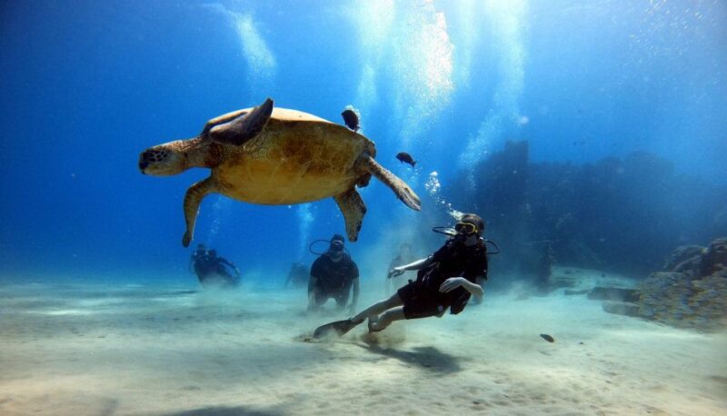Oahu: Scuba Diving Lesson for Beginners - Booking Information