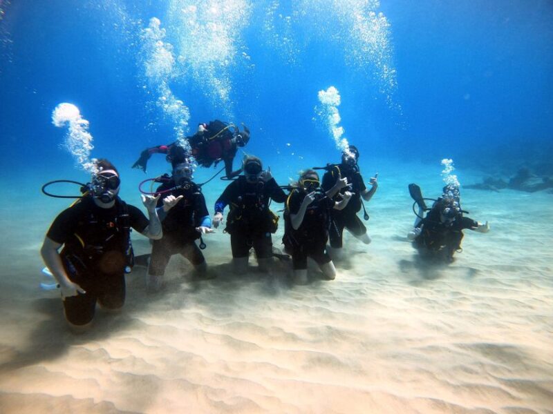 Oahu: Scuba Diving Lesson for Beginners - Experience Highlights