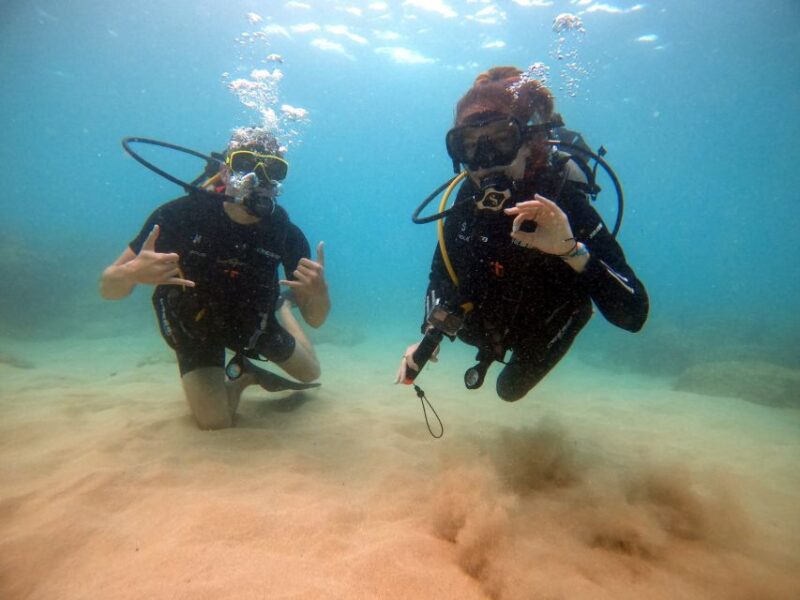 Oahu: Scuba Diving Lesson for Beginners - What to Bring and Important Notes
