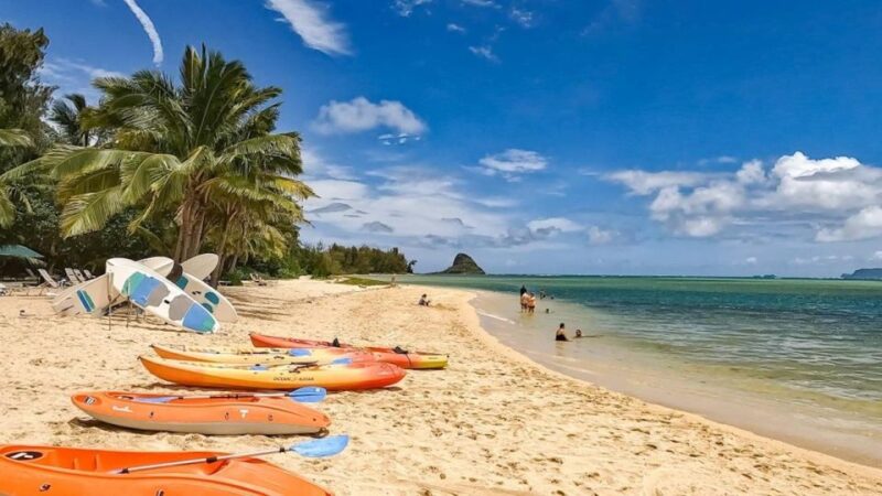 Oahu: Secret Beach Circle Island Adventure - Itinerary Highlights