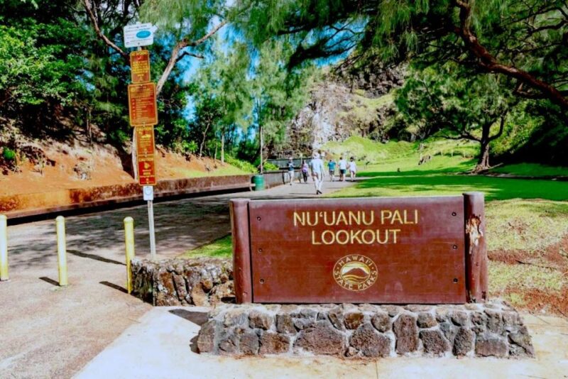 Oahu: Secret Beach Circle Island Adventure - Participant Information and Reviews