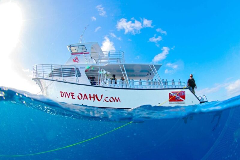 Oahu: Shallow Reef Scuba Dive for Certified Divers - Encountering Marine Life