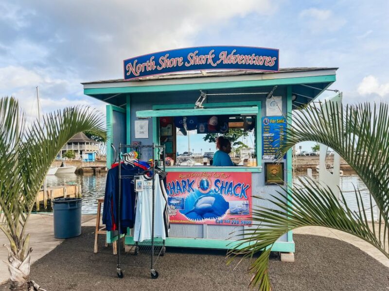 Oahu: Shark Cage Dive on the North Shore - Included Services