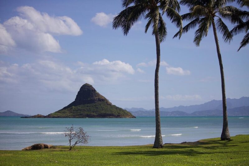 Oahu Sights and Shopping Tour - Key Points