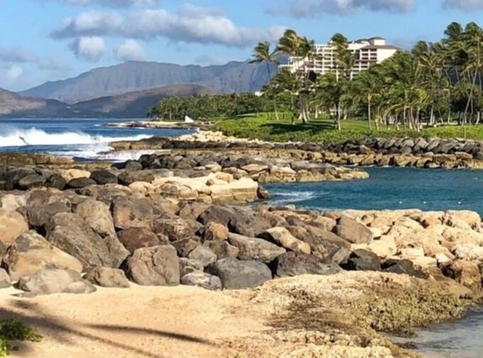 Oahu : Sightseeing Walking Custom Tour With a Local Guide - Frequently Asked Questions