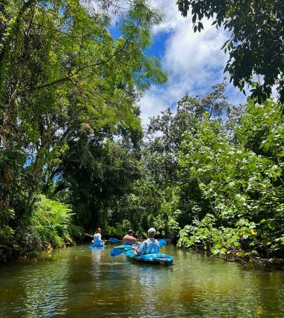 Oahu: Single & Double Kayak 3-Hour River Rental - The Kayaks and Water Experience