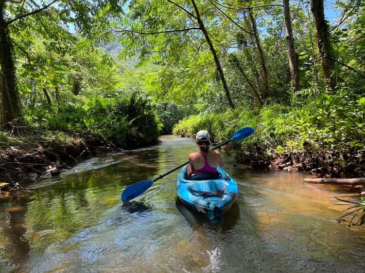 Oahu: Single & Double Kayak 3-Hour River Rental - Safety and Practical Considerations