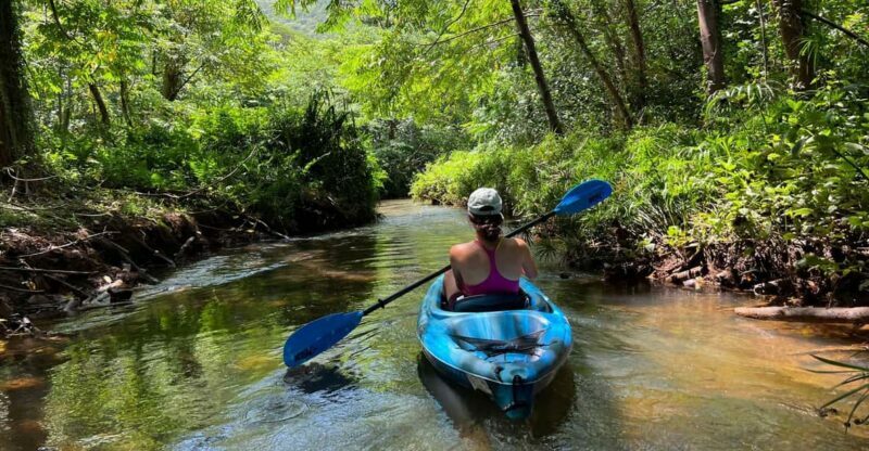 Oahu: Single & Double Kayak 3-Hour River Rental - Who Will Enjoy This Most?