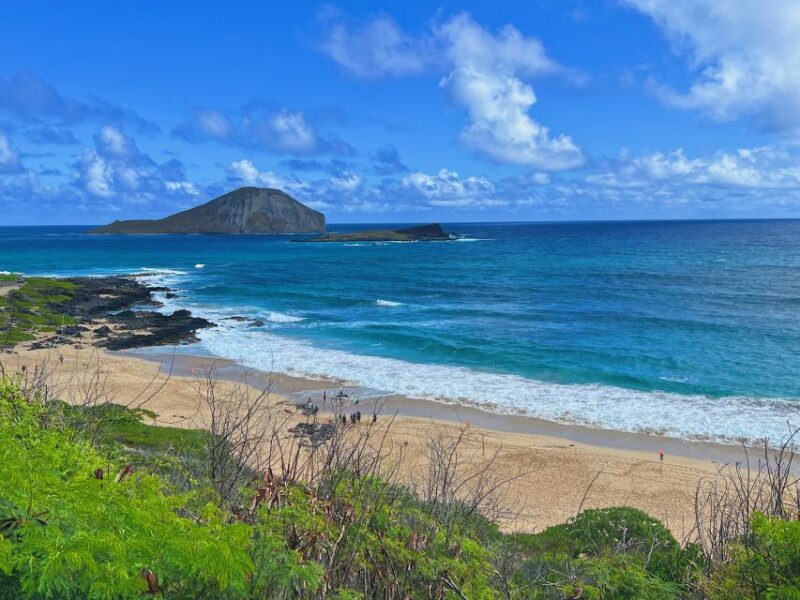 Oahu: Sunrise Hiking & East Side Makapuu Lighththouse - Customer Feedback