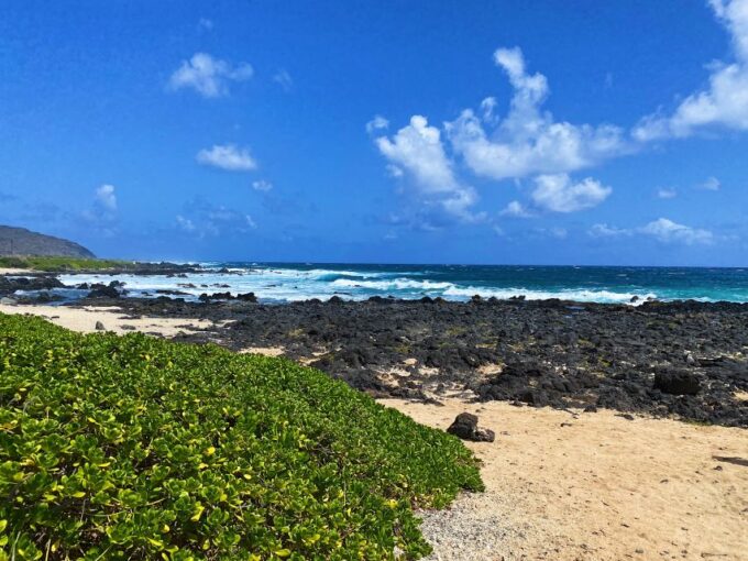 Oahu: Sunrise Hiking & East Side Makapuu Lighththouse - Scenic East Side Hike