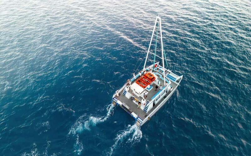 Oahu: Sunset Sail Cruise in Waikiki - Why This Sunset Sail Stands Out