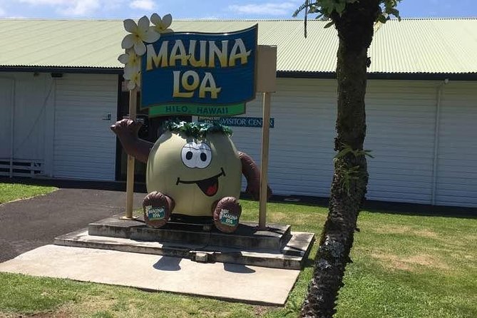 Oahu to Big Island 1 Day Trip : Volcano Tour From Oahu With Air Ticket - Highlights of the Experience