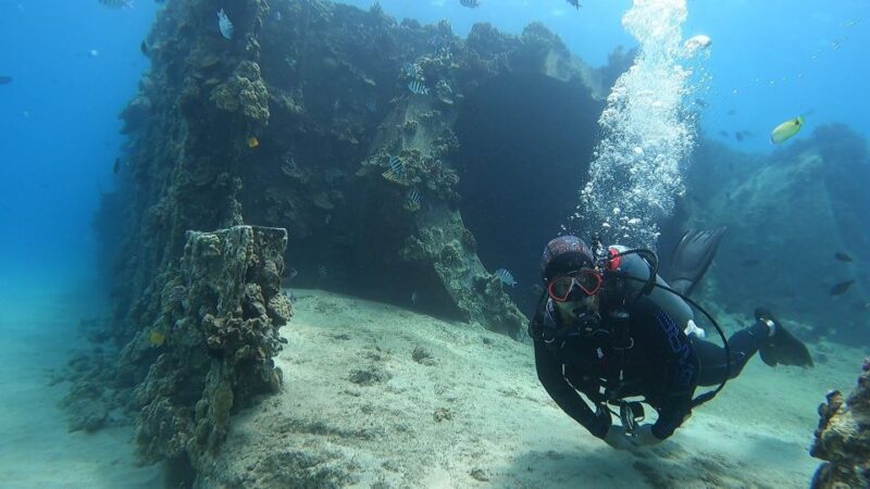 Oahu: Try Scuba Diving From Shore - Key Points