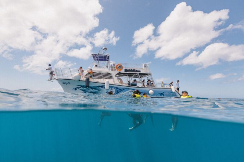 Oahu: Turtle Canyon Snorkeling & Hula Dance - Itinerary and Activities