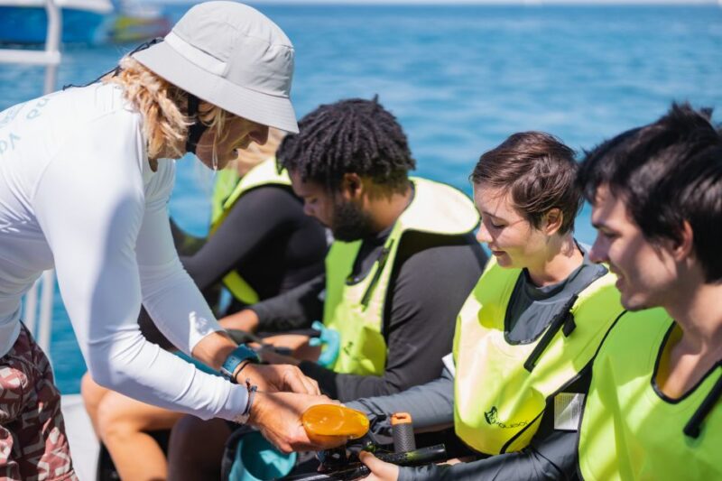 Oahu: Turtle Canyon Snorkeling & Hula Dance - Inclusions and Exclusions