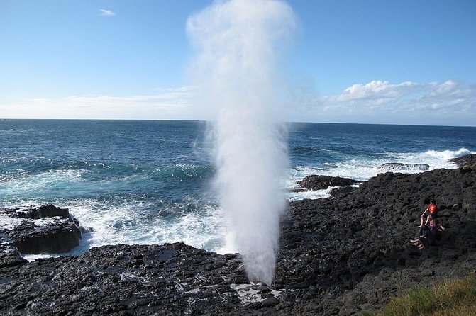 Oahu Ultimate Circle Island Tour Full Day Experience - Macadamia Nut Farm Outlet