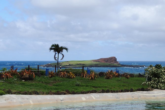 OAHU VOLCANO AND BEACHES - Tour in Spanish - Highlights of the Tour