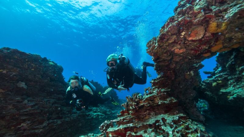 Oahu: Waikiki Discovery Scuba Diving for Beginners - Dive Details