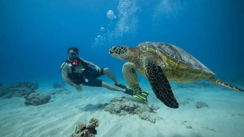 Oahu: Waikiki Discovery Scuba Diving for Beginners - Getting to the Dive Site