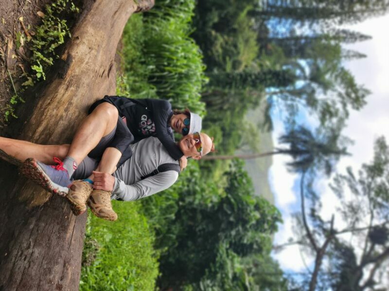 Oahu: Waikiki E-Bike Ride and Manoa Falls Hike - Authenticity and Traveler Feedback