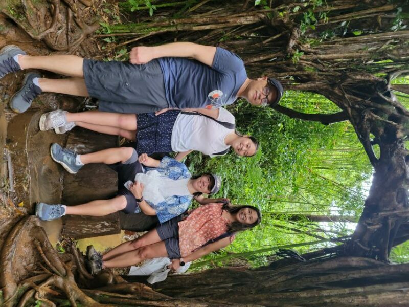 Oahu: Waikiki E-Bike Ride and Manoa Falls Hike - Who Will Love This Tour?