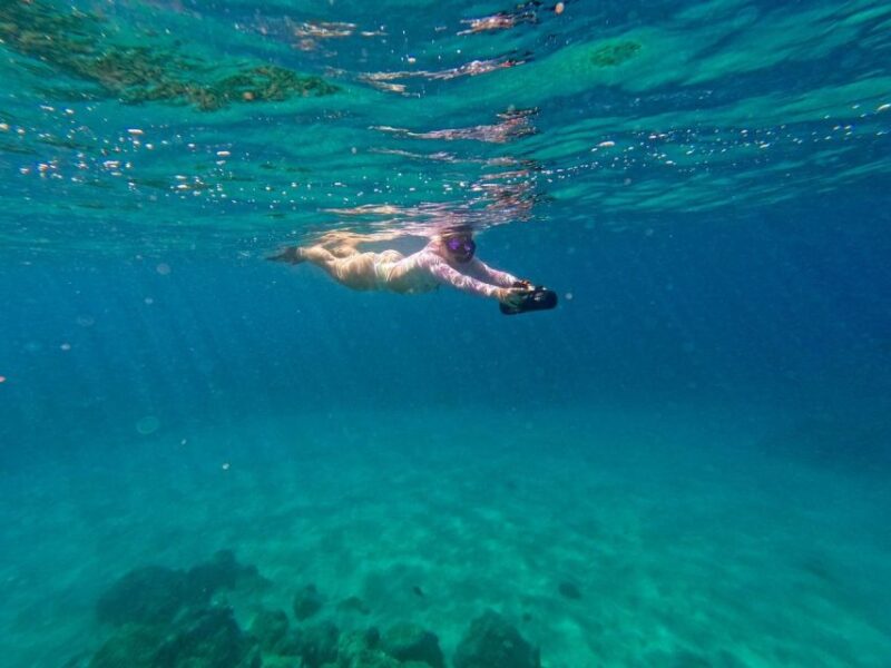 Oahu: Waikiki Jet Snorkeling Tour With Videos and Turtles - Customer Feedback Highlights