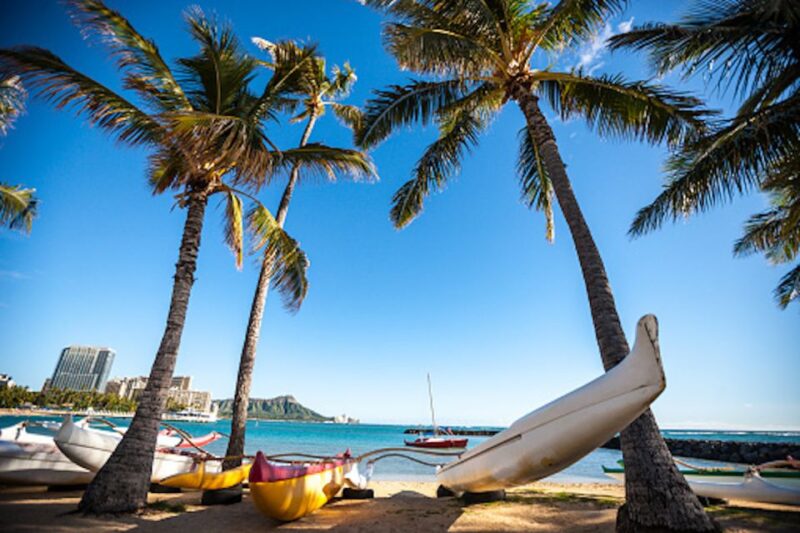 Oahu: Waikiki Kayak Tour and Snorkeling With Sea Turtles - What to Bring