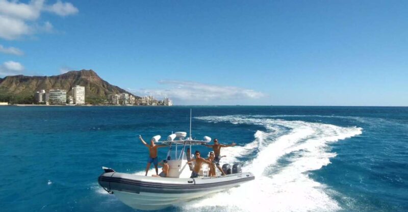 Oahu: Waikiki Private Snorkeling and Wildlife Boat Tour - Experience Highlights