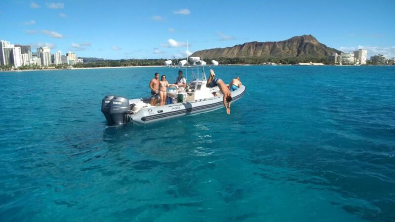 Oahu: Waikiki Private Snorkeling and Wildlife Boat Tour - Tour Features