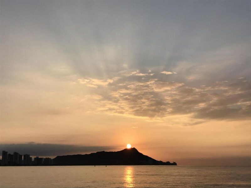 Oahu : Waikiki Sailing Turtle Snorkeling in Small Groups - Itinerary