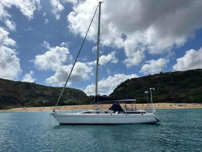 Oahu : Waikiki Sailing Turtle Snorkeling in Small Groups - Group Size and Pricing