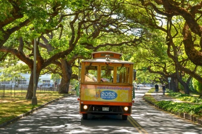 Oahu: Waikiki Trolley Hop-on Hop-off All-Line Pass - Accessibility and Convenience
