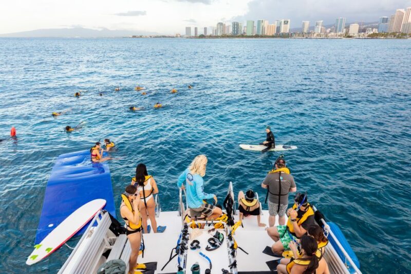 Oahu: Waikiki Turtle Canyons Cruise and Snorkel Excursion - Meeting Information