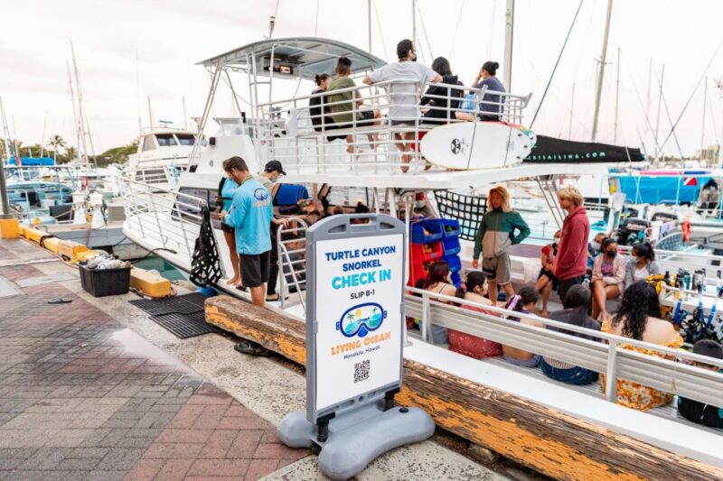 Oahu: Waikiki Turtle Canyons Cruise and Snorkel Excursion - Customer Reviews