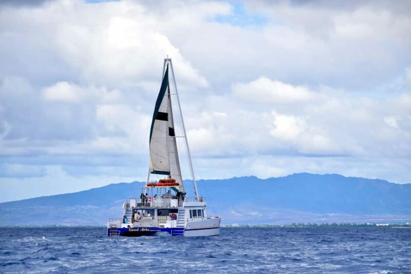 Oahu: Waikiki Whale Watching Cruise - The Value of This Tour