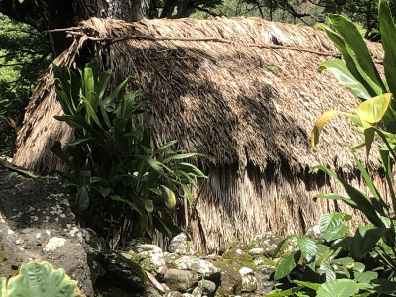 Oahu: Waimea Falls & Valley & North Shore Day - What to Bring