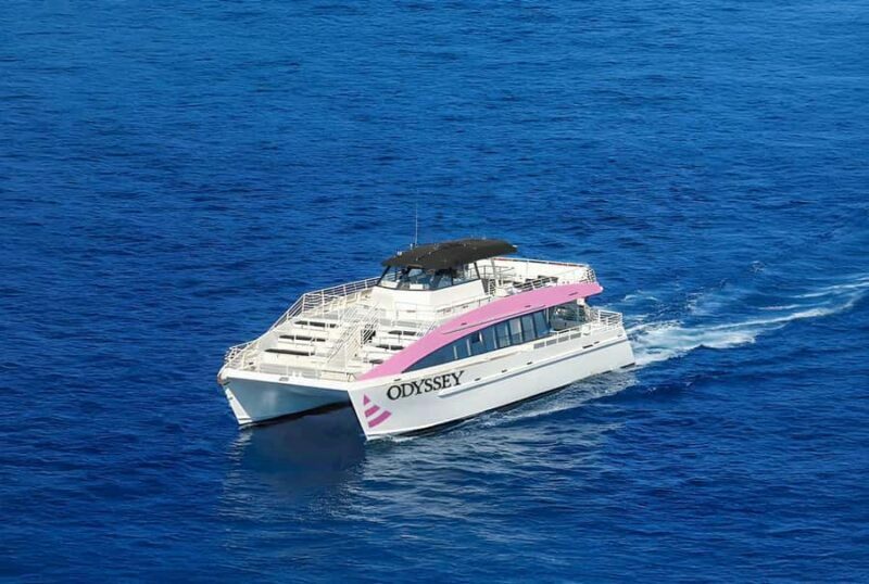 Oahu: Whale Watching Catamaran Tour near Waikiki - A Close Look at the Oahu Whale Watching Catamaran Tour near Waikiki
