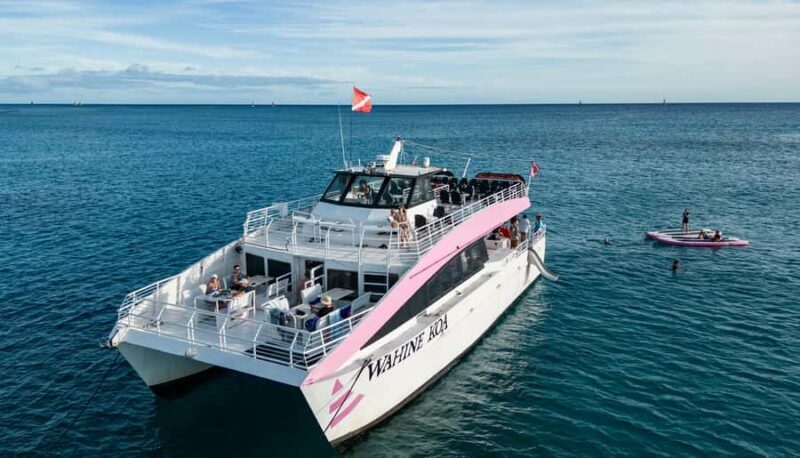 Oahu: Whale Watching Catamaran Tour near Waikiki - The Breakdown: Itinerary and Highlights