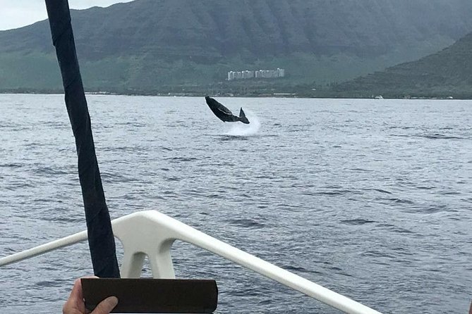 Oahu Whale Watching Excursion - Boat Options and Tour Duration