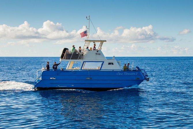 Oahu Whale Watching Excursion - Cancellation and Refund Policy