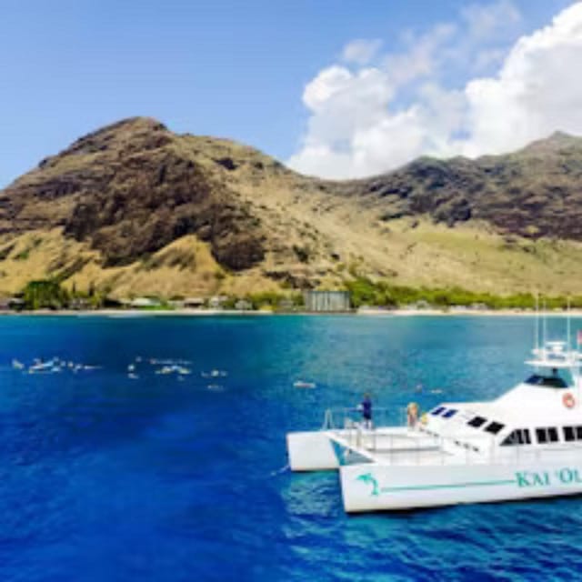 Oahu: Whales Dolphins Snorkeling Cruise With Hawaiian Meal - Key Points