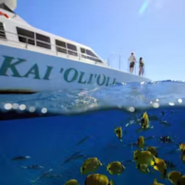 Oahu: Whales Dolphins Snorkeling Cruise With Hawaiian Meal - Cruise Overview and Highlights