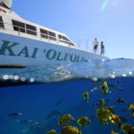 Oahu: Whales Dolphins Snorkeling Cruise With Hawaiian Meal - Activity Pricing and Inclusions