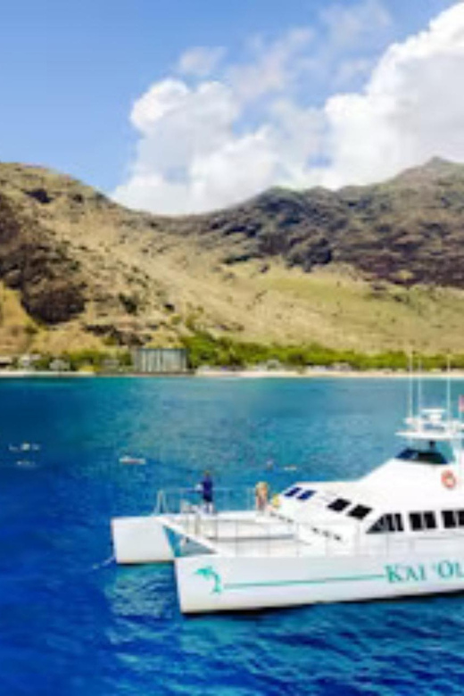 Oahu: Whales Dolphins Snorkeling Cruise With Hawaiian Meal - Snorkeling Experience