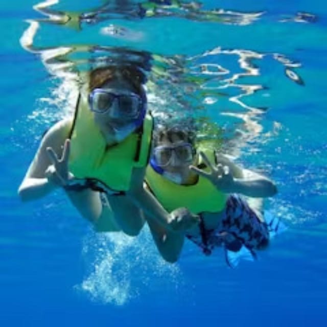 Oahu: Whales Dolphins Snorkeling Cruise With Hawaiian Meal - Pickup Locations and Schedule