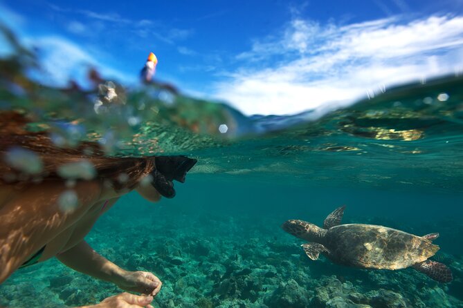 Oahus Exclusive (only 13 Allowed / Bus) Circle Island Tour - Price Guarantee and Refund