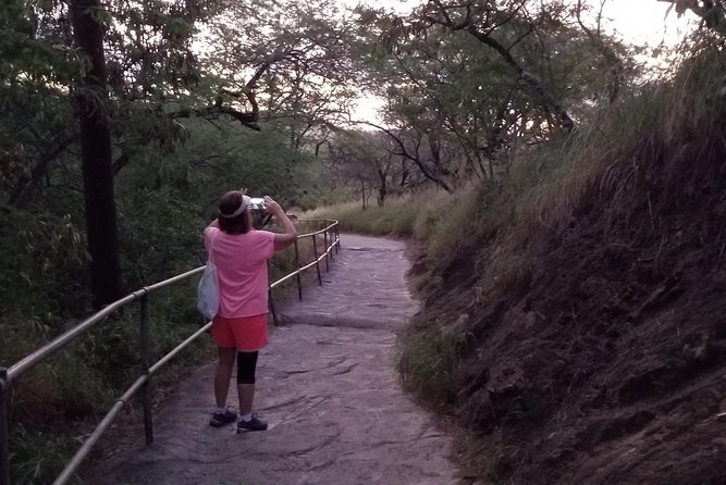 Oahus Half-Day Tour Package - Group Size and Flexibility