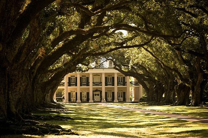 Oak Alley Plantation and 3-Hour New Orleans City/Cemetery Tour - Sights of New Orleans City