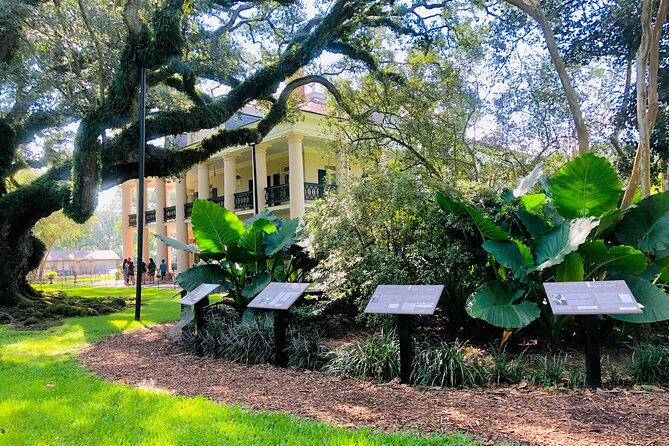 Oak Alley Plantation Tour With Transportation From New Orleans - Accessibility and Restrictions