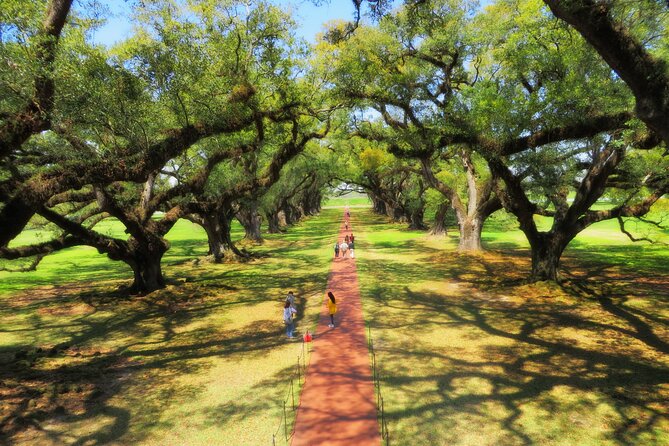 Oak Alley Plantation Tour With Transportation From New Orleans - Confirmation and Booking